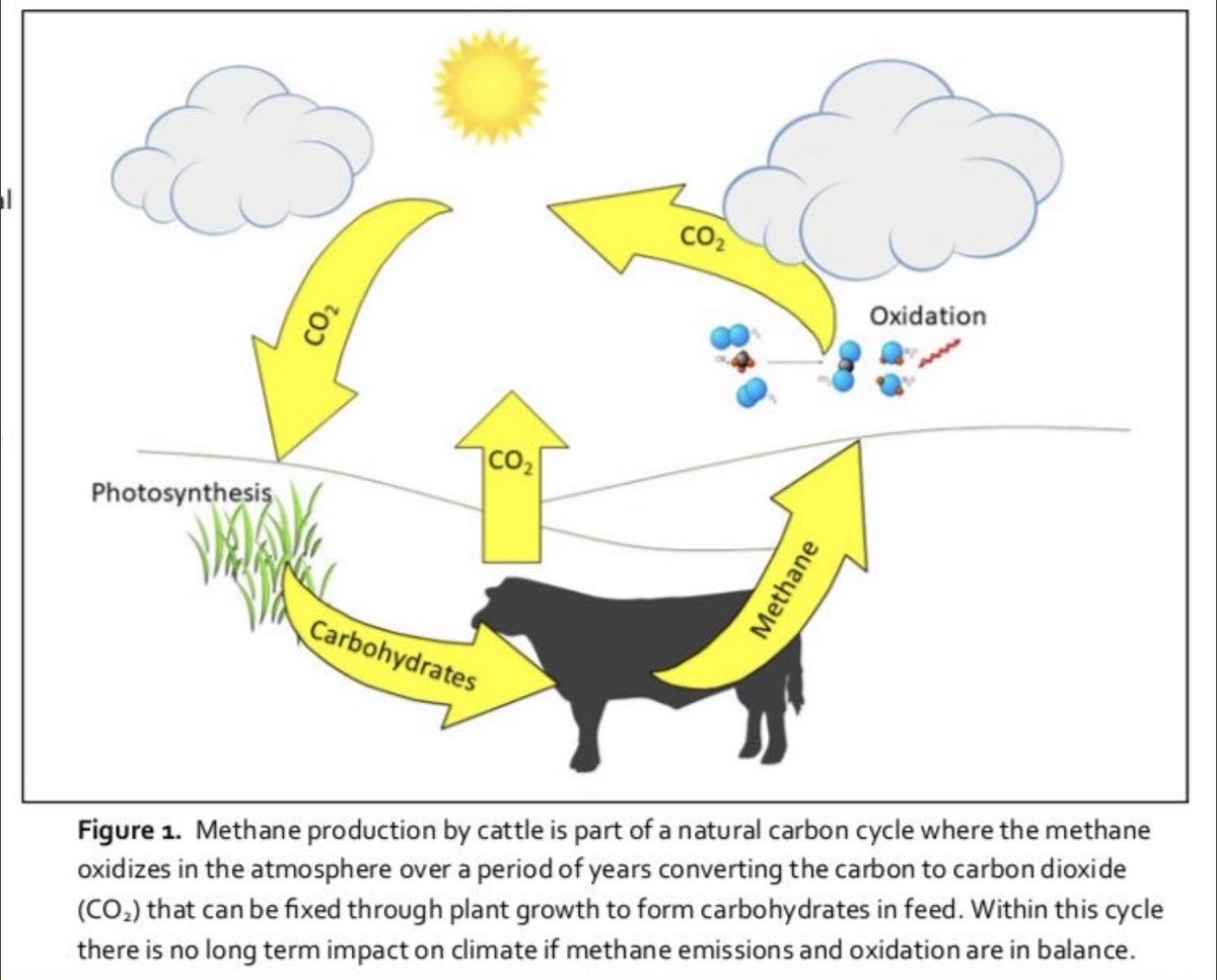 Dans cette mauvaise compréhension des écosystèmes on va jusqu'à oublier que les animaux mangent... des végétaux !Cela permet à de + en + de monde de comparer les émissions de CO2 de l'élevage aux émissions des autres secteurs d'activitéOr c'est tout simplement incomparable !