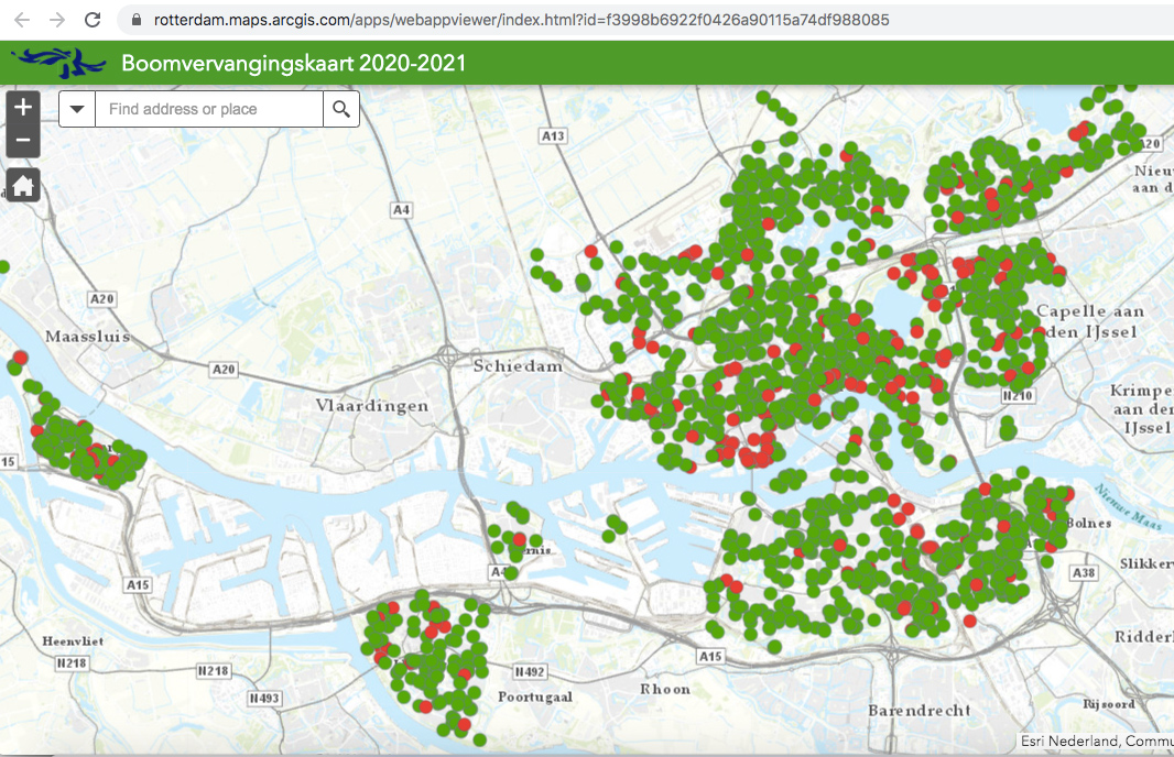 DeBomenridders's tweet photo. Boomvervangingskaart 2020-2021 - wat handig van @Stadsbeheer010 ; zo zie je precies wat plannen met bomen in jouw buurt zijn. https://t.co/S3J4WIuefG https://t.co/k3OILmAiuG