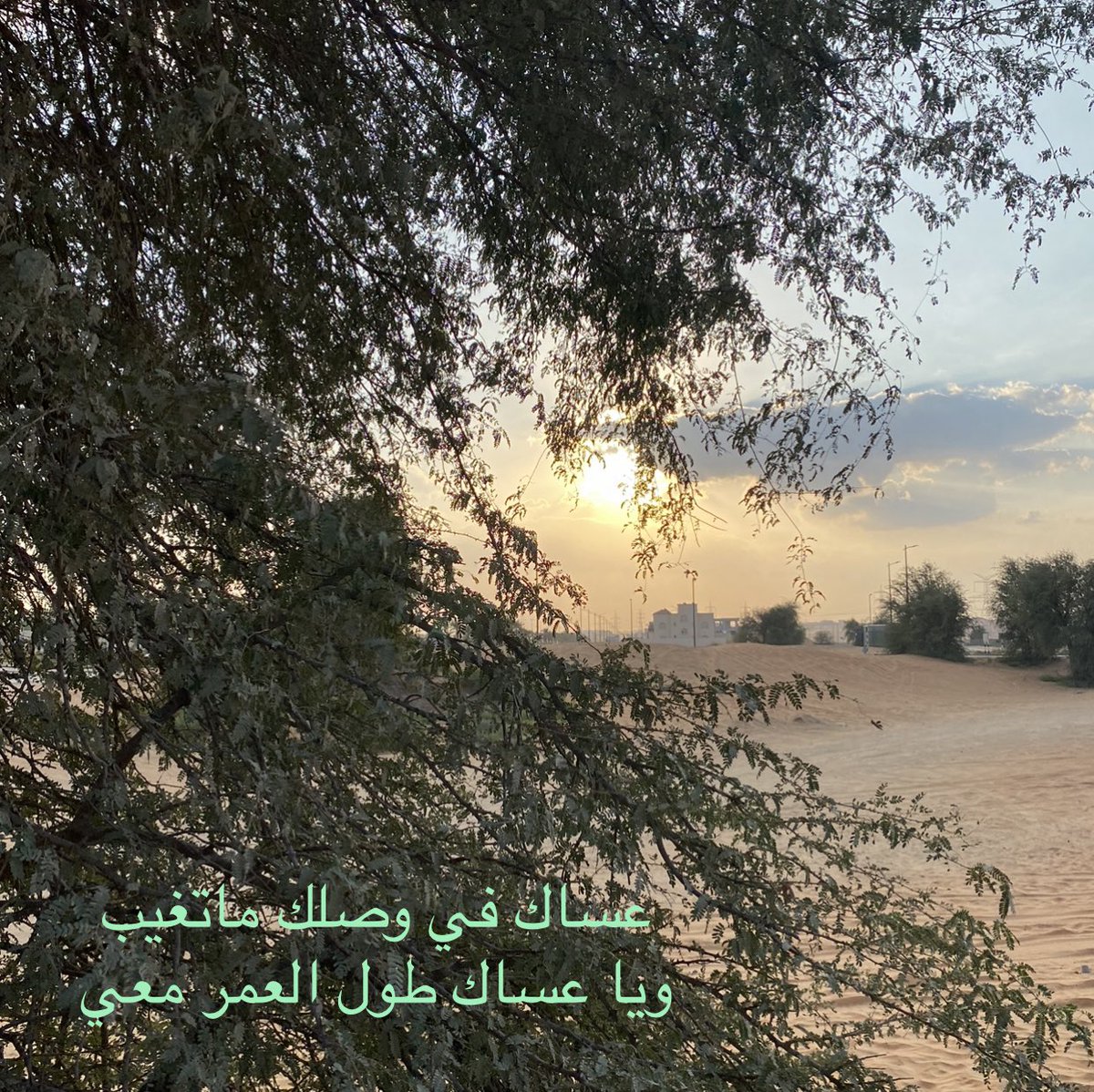 الياسيه 🇦🇪 (@umabdullah123_) on Twitter photo 