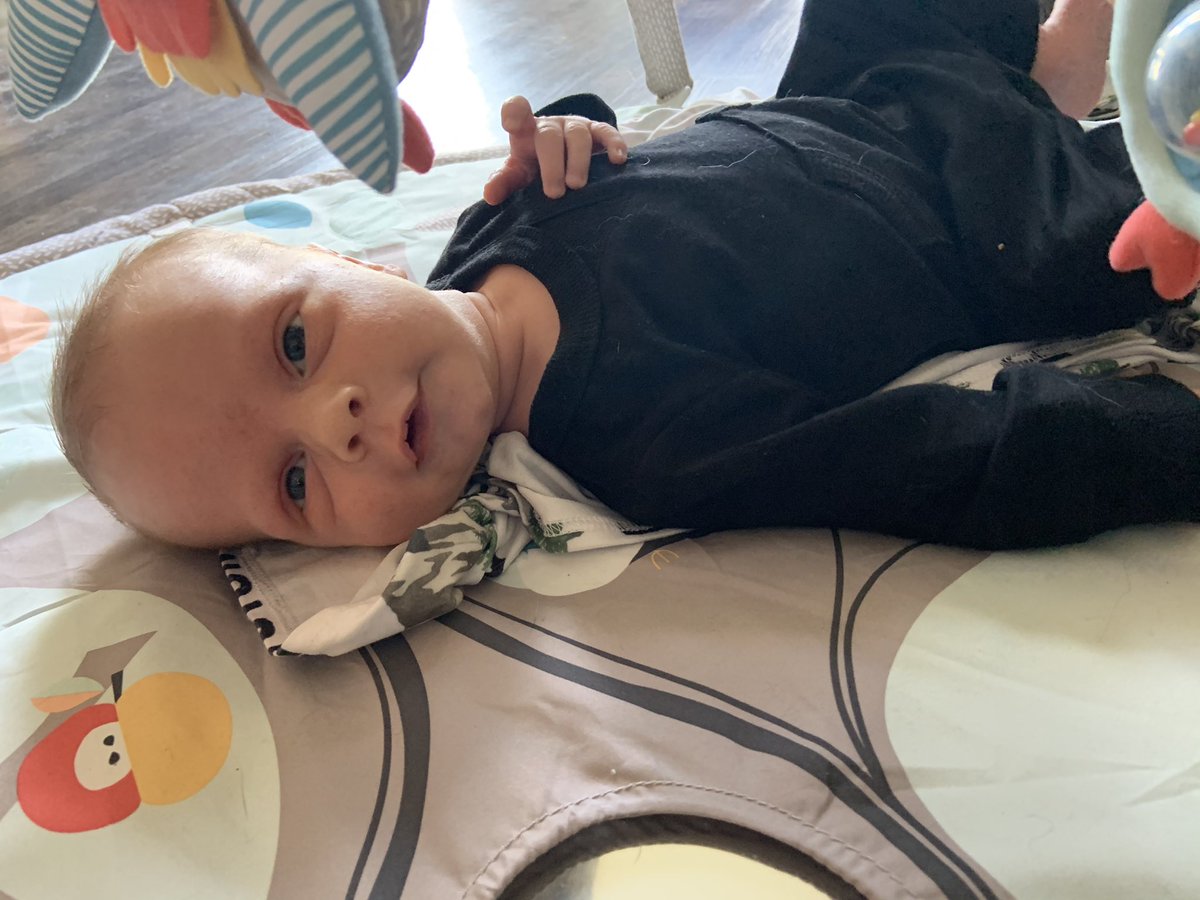 HaileySick's tweet photo. Stop it right now 😭😍 https://t.co/il2y4GIFbI