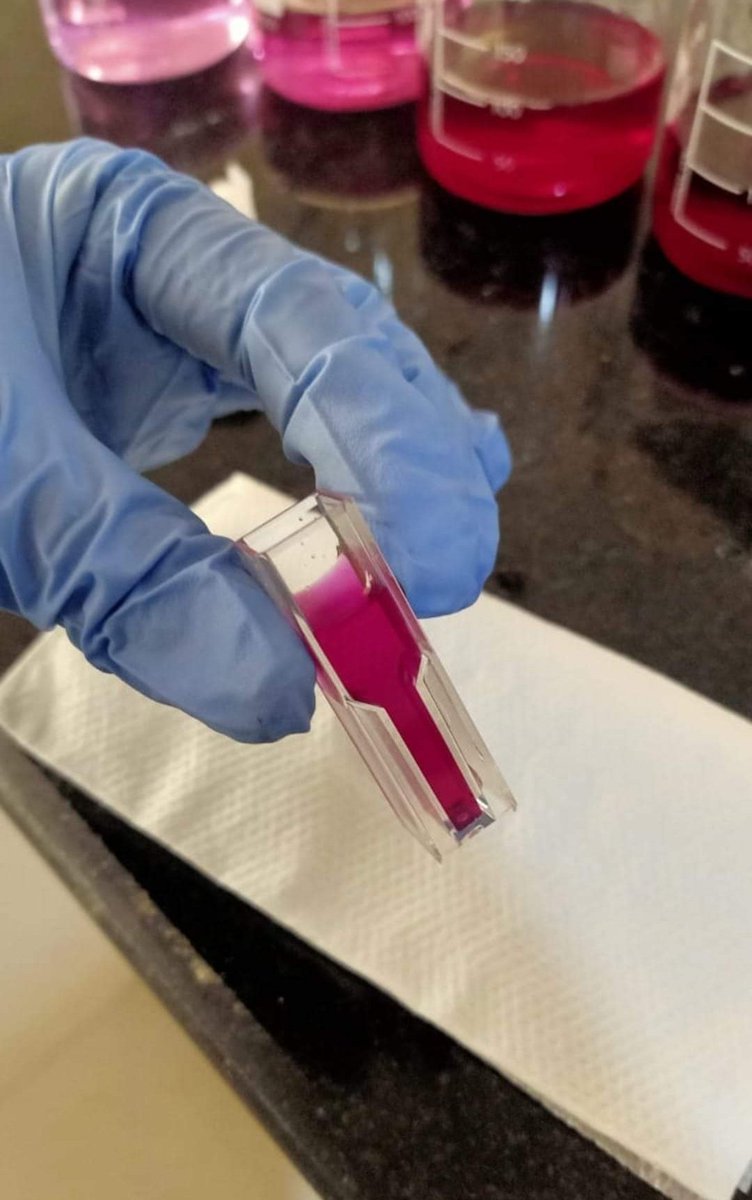 SanjitaPanigra2's tweet image. The cherry red colour is 🔥😍🔥
#labdiaries 
Extraction of Biosurfactants. 
#Biotechnology