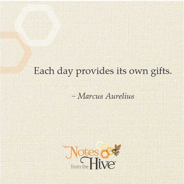 NotesfromHive's tweet image. #transformationtuesday #spreadinggoodness #joyfulthoughts #lifeisagift instagr.am/p/CH-pkO8JemH/