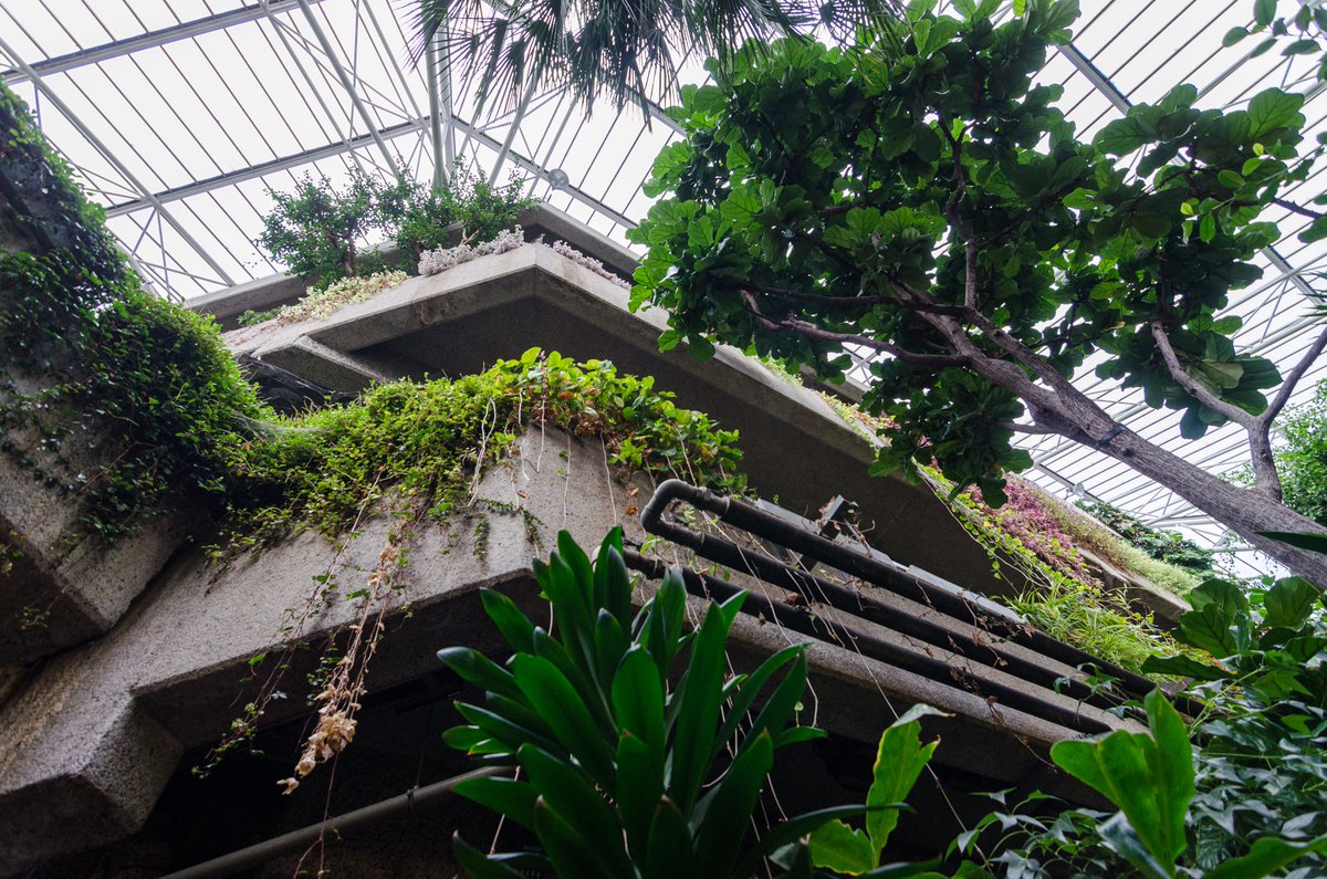 The Barbican Conservatory was built to conceal the fly tower from the Barbican Theatre below it, in the manner that a jungle conceals an ancient temple.