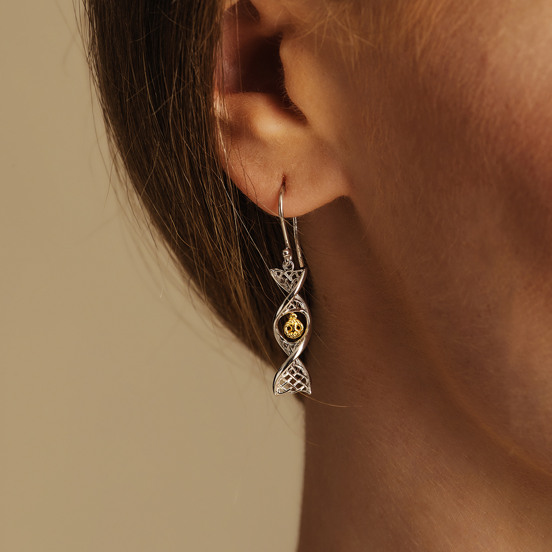 AranSweatersD's tweet photo. Checkout these stunning Tree of Life earrings in sterling silver and 14k gold, learn more https://t.co/pFhOsRYmz8, free worldwide shipping #treeoflifeearrings #treeoflifejewelry #treeoflife #irishjewelry #celticjewelry #hallmarked #SterlingSilver #dna #genealogy #ancestry https://t.co/BucT3bmwnE