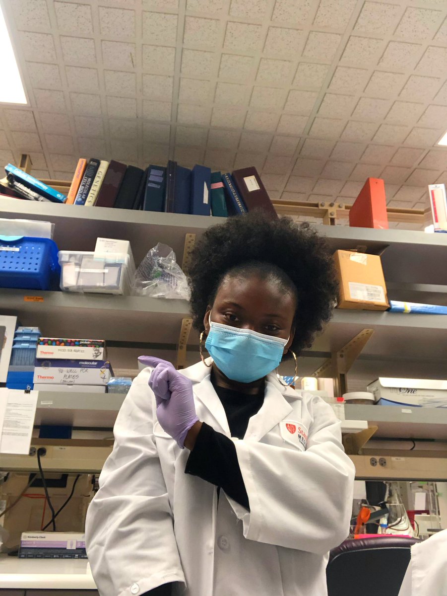 Hi all👋🏿 I’m Sarah, a 1st year Ph.D student at Stanford. I’m currently rotating so I don’t have a lab home yet, but I’m interested in host pathogen interactions specifically the mechanism of viral latency and reactivation @BlackInImmuno #BlackInImmunoRollCall  #BlackInImmunoWeek