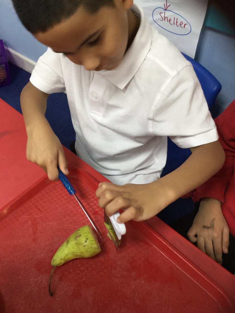 MrsMetcalf_WCP's tweet photo. @Year2_WCP have been practicing cutting skills in #DT 

@Year1_WCP @MissPickering83 @joanneCampbell3 https://t.co/PajsejLnqp