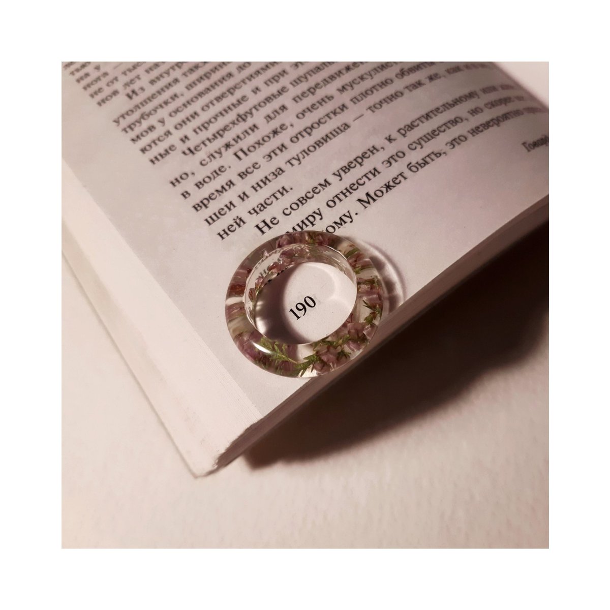 white__fern tweet picture