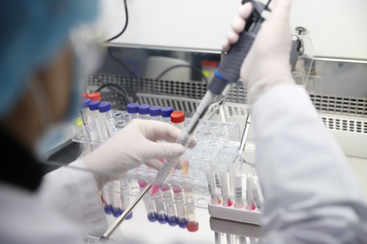 GManastirliu's tweet image. Në laboratorin e ri të testimeve, që do të mbështesë laboratorin e referencën në Institutin e Shëndetit Publik, për rritjen e kapaciteteve aktuale, duke siguruar një përgjigje më të mirë për përballimin e situatës së epidemisë #COVID19. #RespektPërStafetMjekësore 
#Bashkë