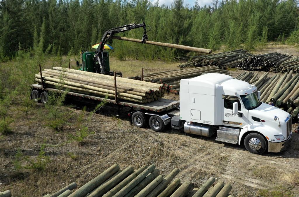 FPL Newsroom tweet media