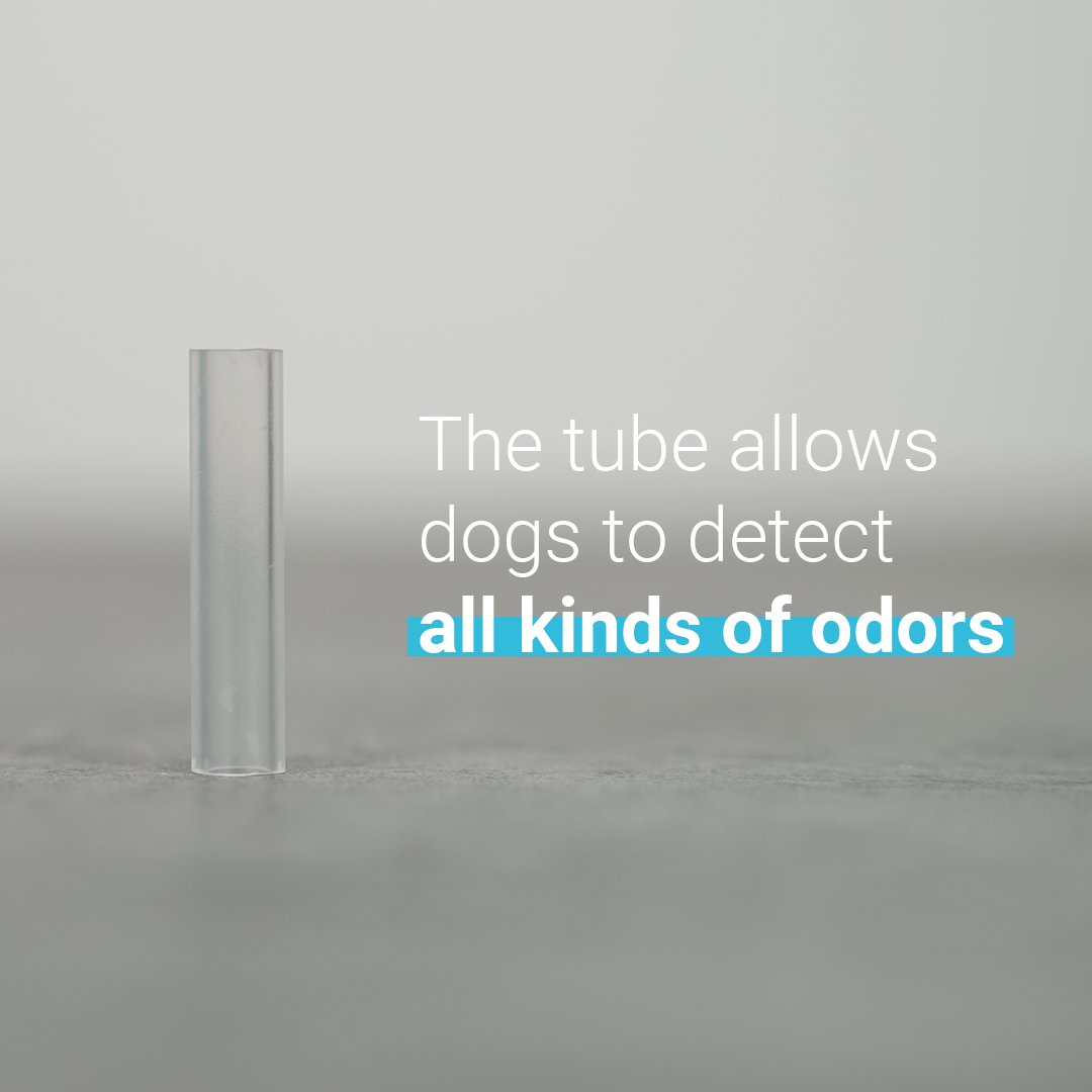 getxent's tweet photo. We contribute to a #betterfuture and a better performance of #detectiondogs. Getxent tube absorbs all types of odor molecules. Once absorbed, these molecules are stored (up to 6 months) and released enabling the detection by the dogs.

#science #innovation #getxentdetectiondog https://t.co/SgBnn29GjT