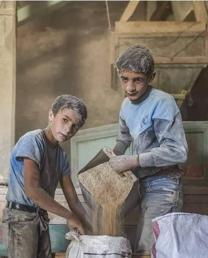 Ne diyordu Değirmenci dayı; 
Bu nasıl çark ulan! 
Buğday bizim,
Ezilen biziz, 
Un olan biz, 
Aç kalan hepimiz. 
Kim bu doymak bilmeyen şerefsiz?!