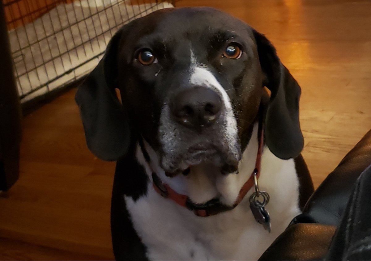 New Blogpost: Show Up and Pay Attention.

55degrees.us/show-up-and-pa…