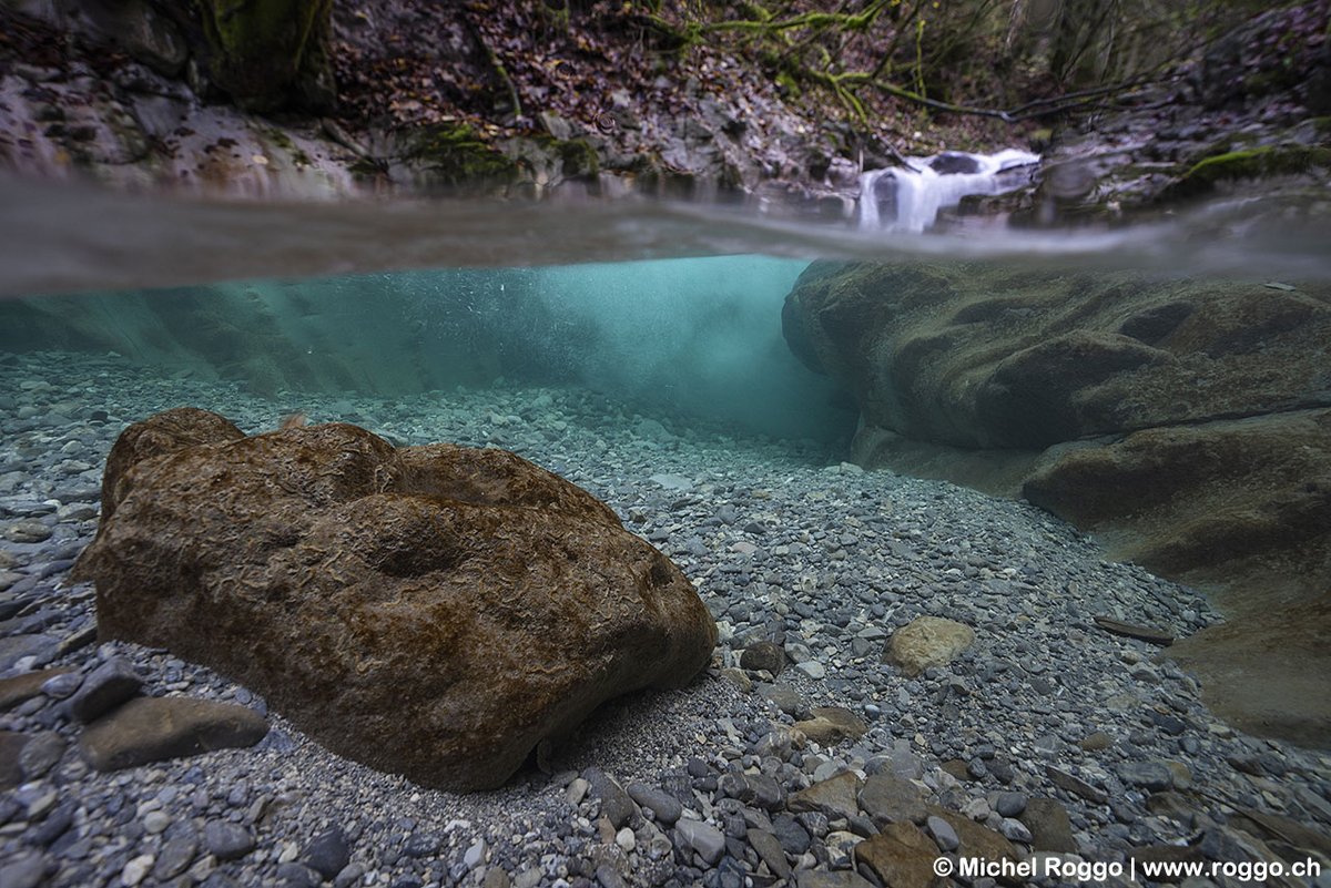 I'm still working on a self-assigned project in the waters of Gruyère, due to the coronavirus. It was perhaps funnier in the summer, but now the water is much clearer. So I'm doing underwater landscapes. There's even a tiny Brown trout in this image, almost impossible to spot.