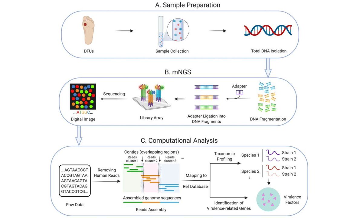 Dr. Efe Ozturk tweet media