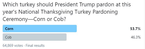 Miaouw election!!   
Gobble Gobble Translate:
Serious election fraud Alert.
Recount requested.  
The voting system is rigged. 
Do not certify this result.
I am taking it to the Supreme Court.... or adding them to my Turkey Supreme...  Can't decide.