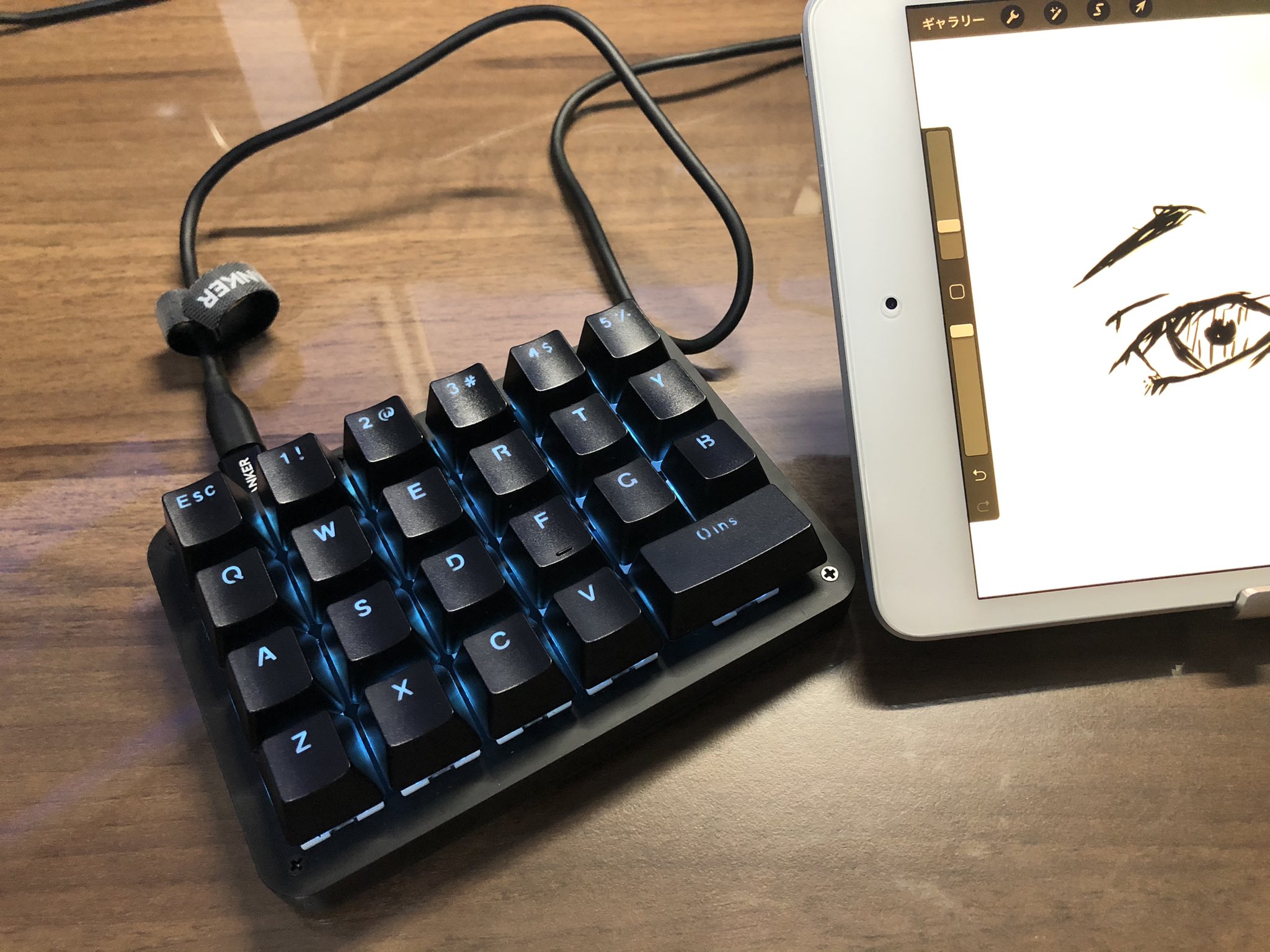 柳田薫 ٹوئٹر پر Procreateの全ショートカット動作確認完了 マクロ組んで一つのキーのみでアンドゥリドゥ ブラシサイズの変更出来るのめっちゃ便利 なおipad Miniの場合給電不足となる為 接続にはカメラキットではなくカメラアダプター3が必要かとなりますのでご