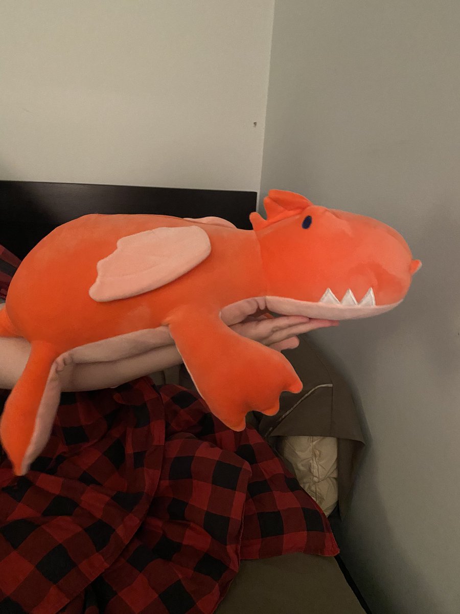 RoseButler7's tweet photo. @CrankGameplays hey, got a dragon, named him EEF, he just wants to learn how to read https://t.co/8spZC3XCN3