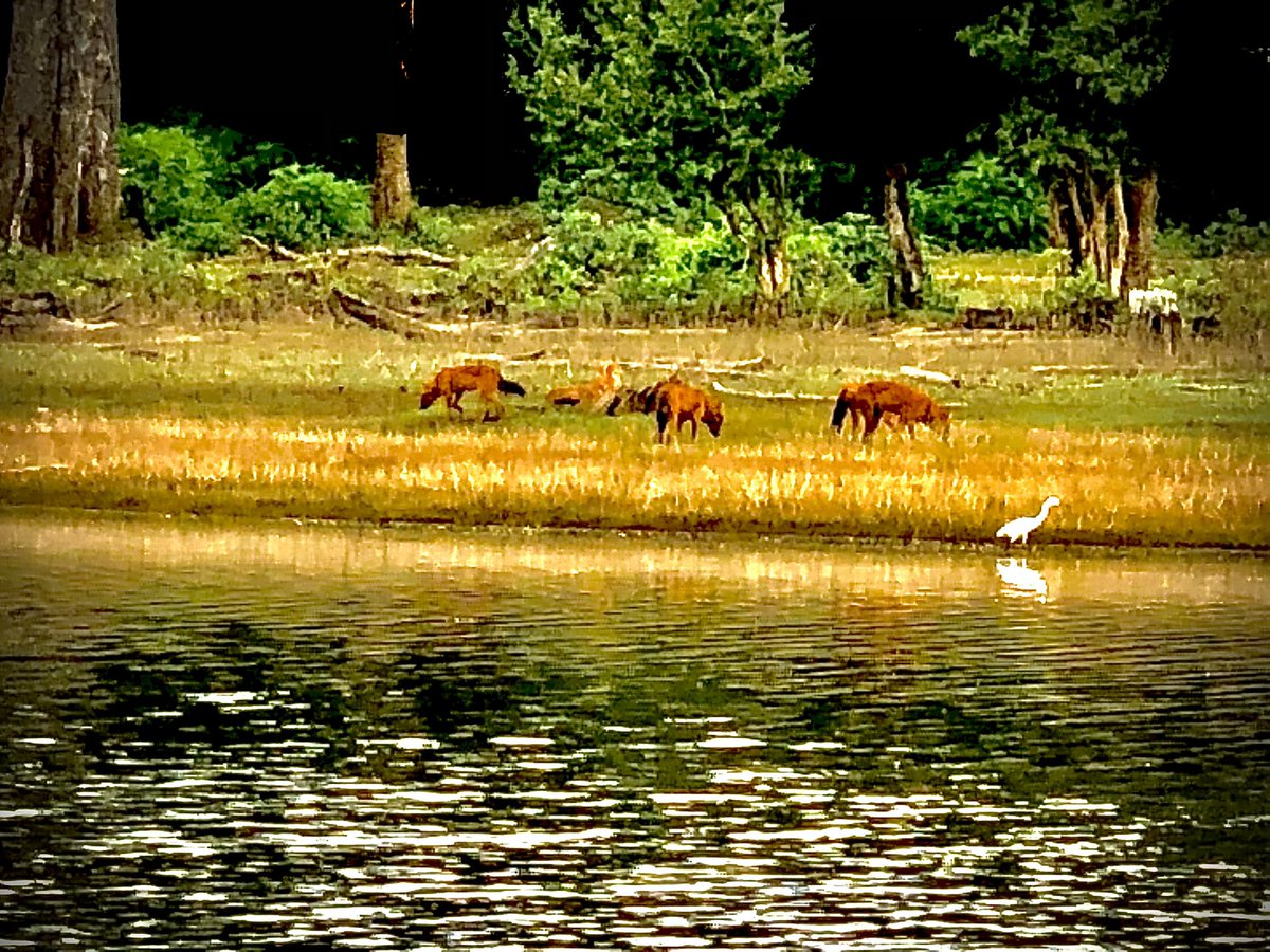 S. Rajiv Krishna tweet media