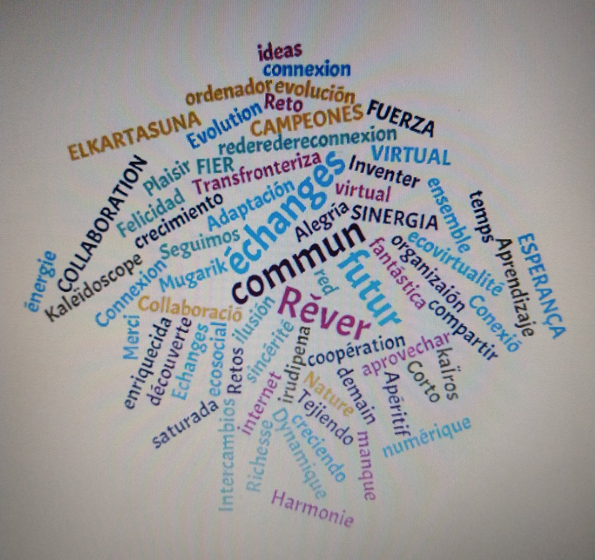 Sensaciones del encuentro de la Red transfronteriza de Educación Ambiental Pirineos Vivos. Este año virtual, pero igualmente muy contentos de compartir experiencias #REPV2020