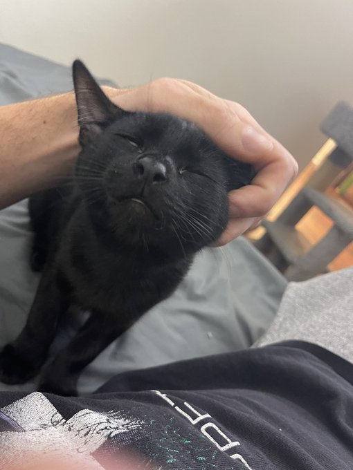 He loves the morning loves https://t.co/3Z0I0ewtpt