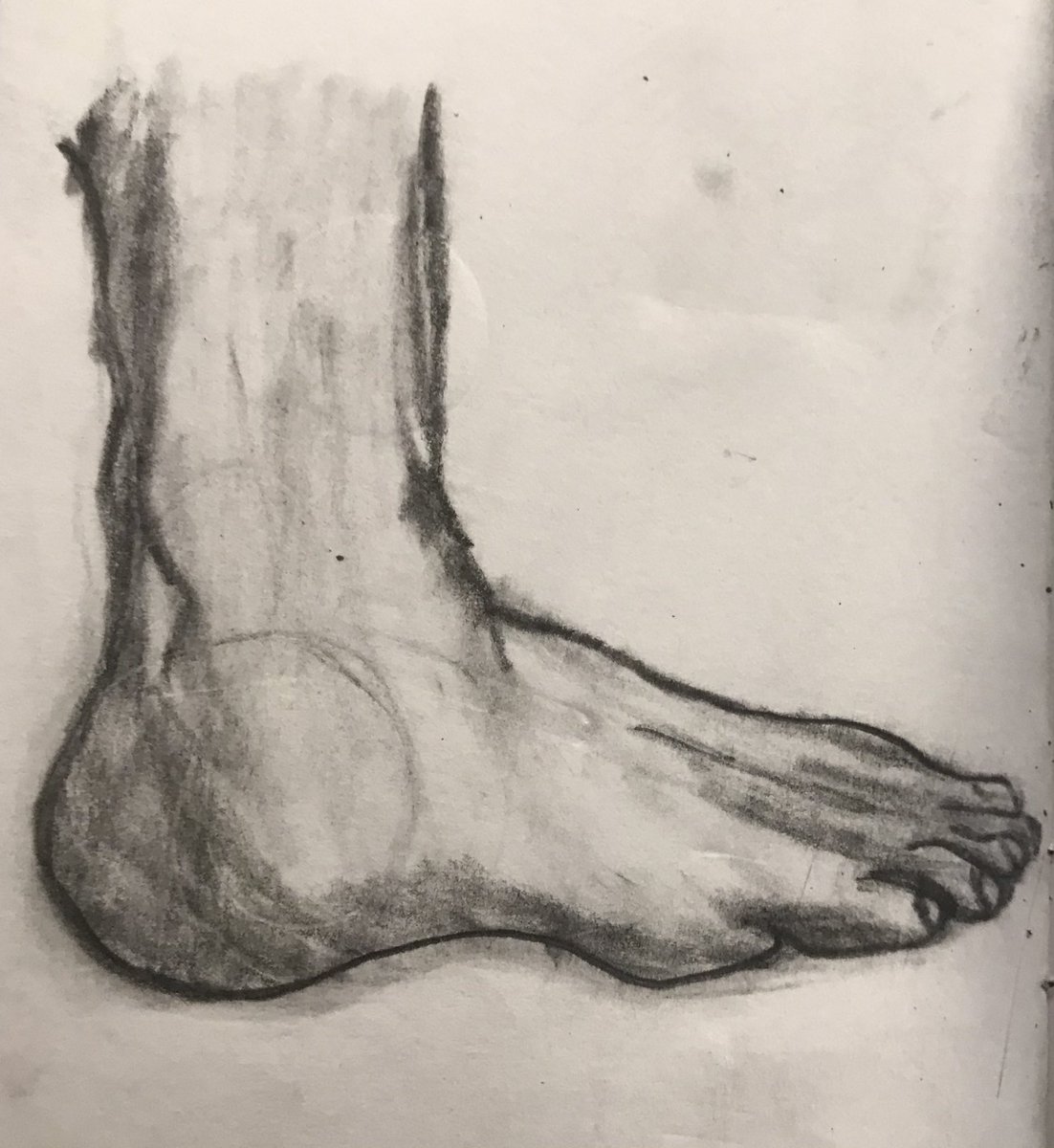 Miss McEntee tweet media