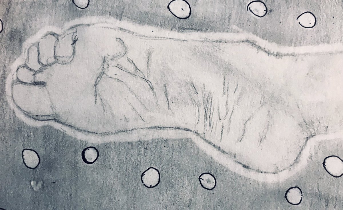 Miss McEntee tweet media