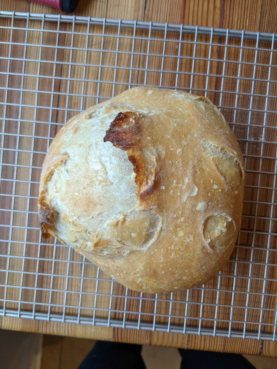 panasonicyouths's tweet photo. RT if you've taken an L recently as bad as my loaf of bread https://t.co/MBCPNpdN4v