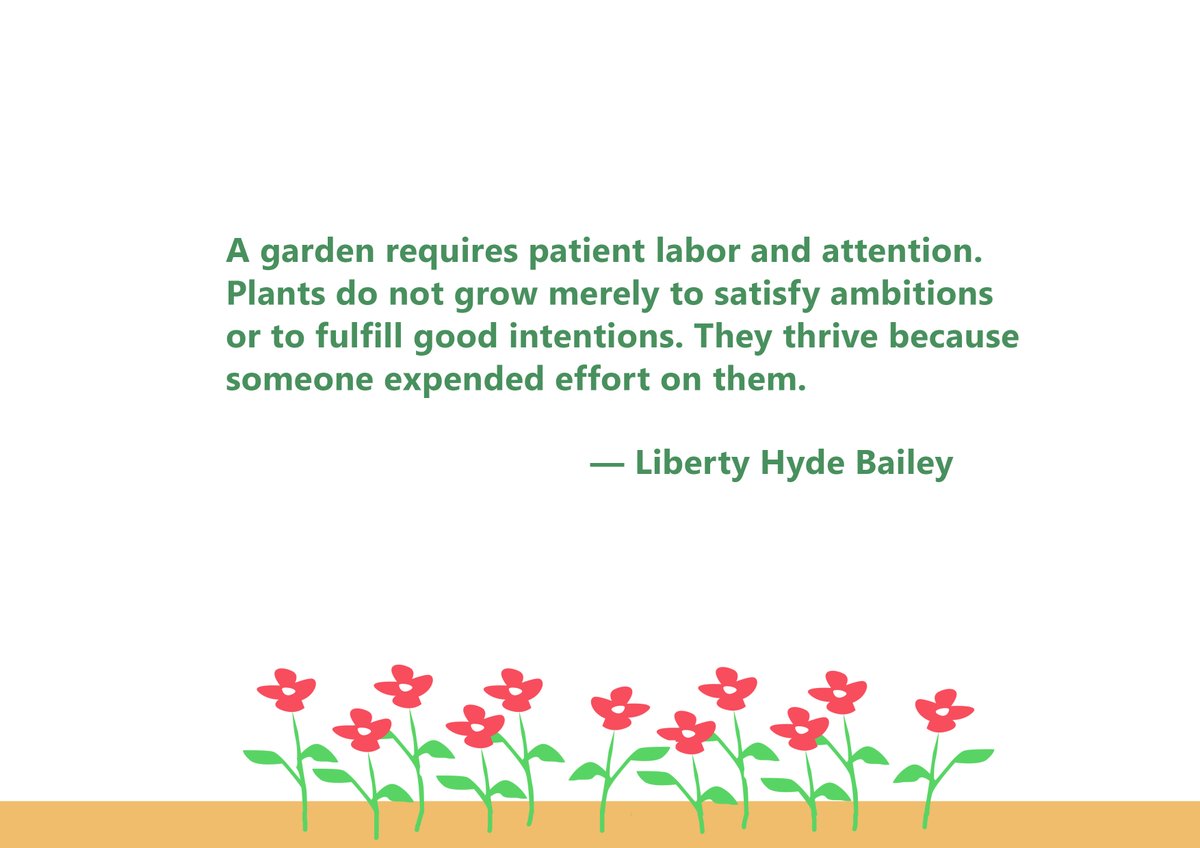 GuidePlanting's tweet image. An inspirational Quote for PlantsLover🌷🌻🌼🌵. Have a good day everyone and be happy😊😊.
#theplantingguide
