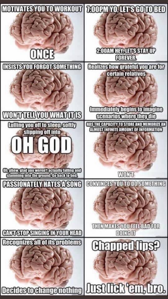 DrShelleyK's tweet photo. A fab illustration of how tricky our brains can be! 😂
#365daysofcompassion #trickybrain https://t.co/VQcQ0bBA74