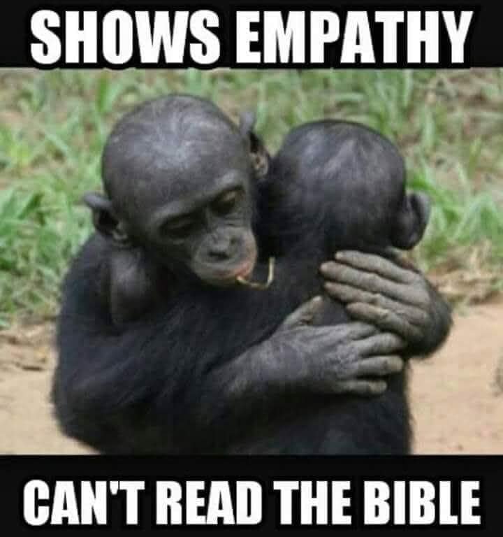 Empathy does not come from religion.