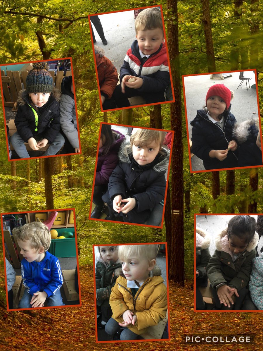 Bader Primary School tweet media