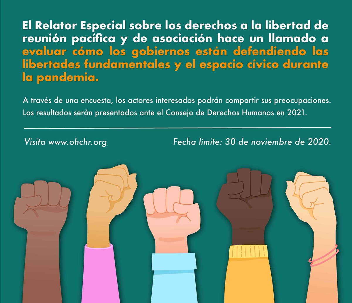 📢 El Relator Especial sobre los derechos a la libertad de reunión pacífica  y de asociación hace un llamado a evaluar cómo los gobiernos están  defendiendo las libertades fundamentales y el espacio, image size:1200x1034