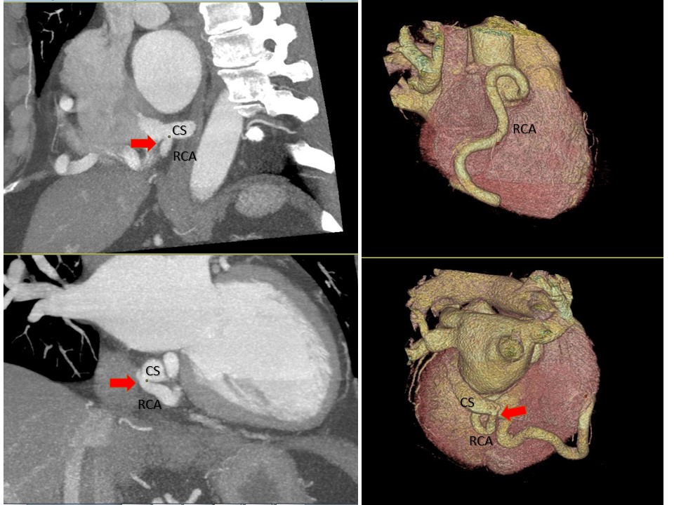 Seth Uretsky tweet media