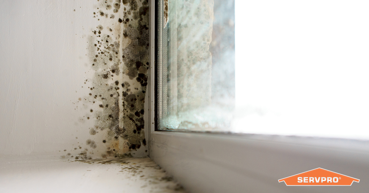 During quarantine, some property owners temporarily shut off their HVAC systems which created ideal conditions indoors for mold growth. If you think you've discovered mold in your property, give us a call about removing it. We're available 24/7 &amp; can be reached at (602)-341-6737!