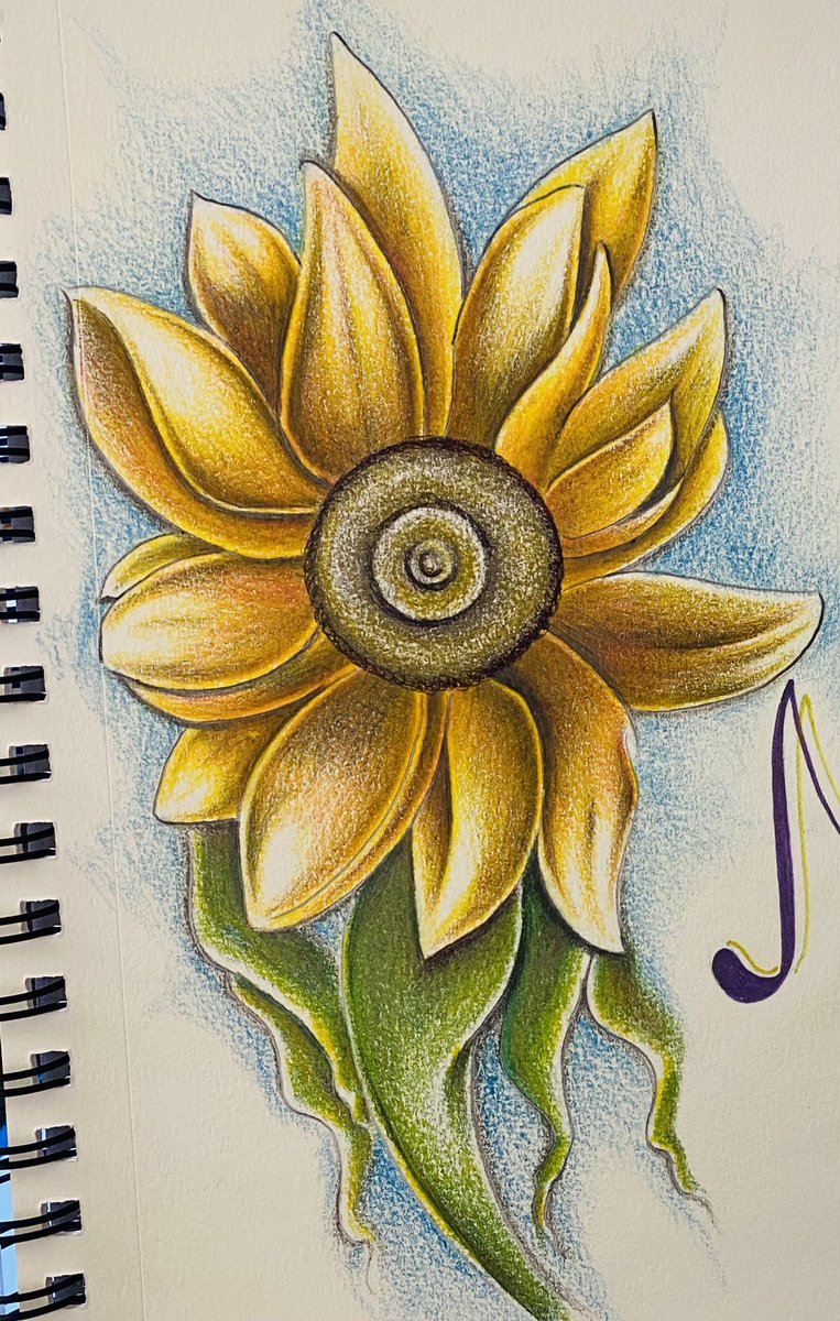 I ask him if I can take a photograph of one of the sketches. He nods, “Sure.”I take the photo, and feel something lift inside me.Here in this room, in this backpack, in this sketchbook belonging to an unassuming artist, I find a blossoming hope.Life is this flower. 14/