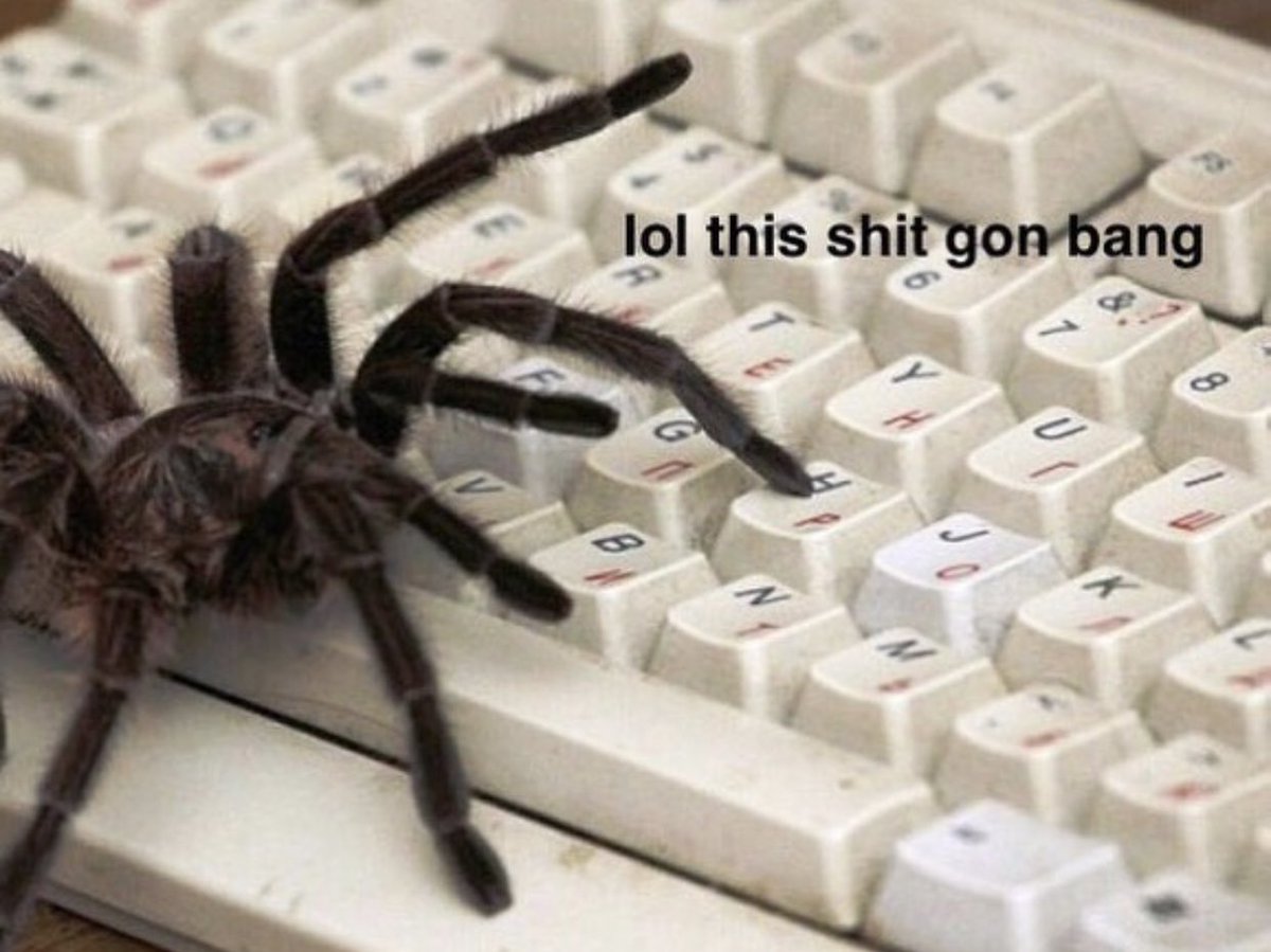 Joseph Urban tweet media