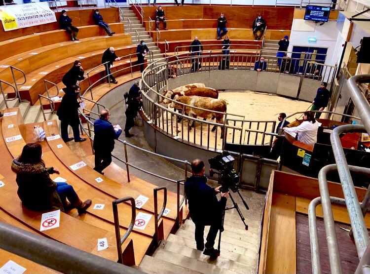 annemcalp's tweet image. Filming in Lanark today...🐄 🐮#bbclandward