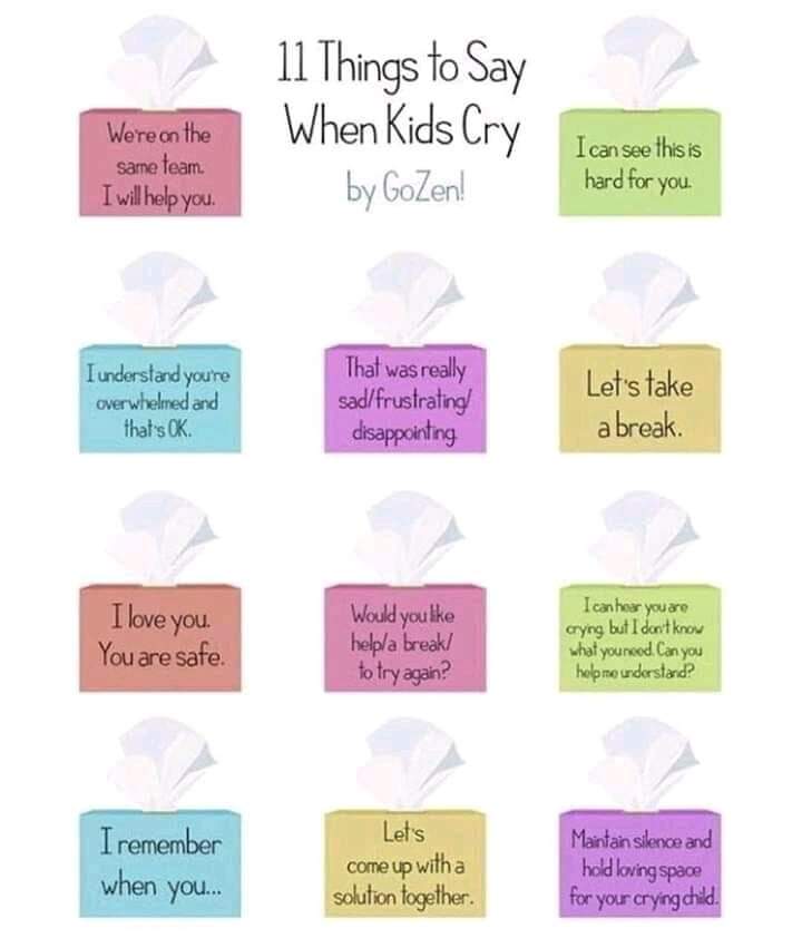 Brad Weinstein tweet media