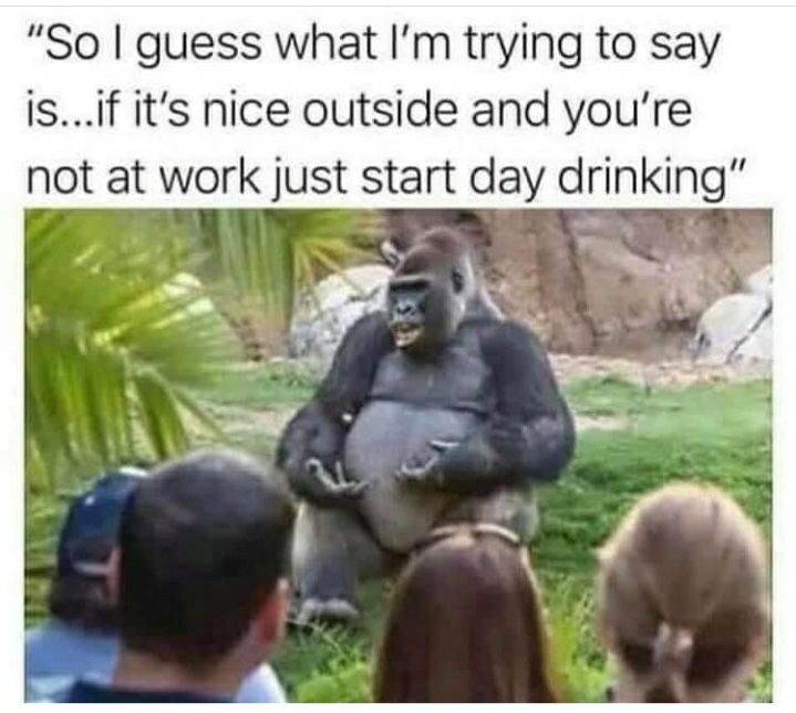 CauseWereGuys's tweet photo. That’s really all I’m trying to ever say https://t.co/uXbyDMJNU0