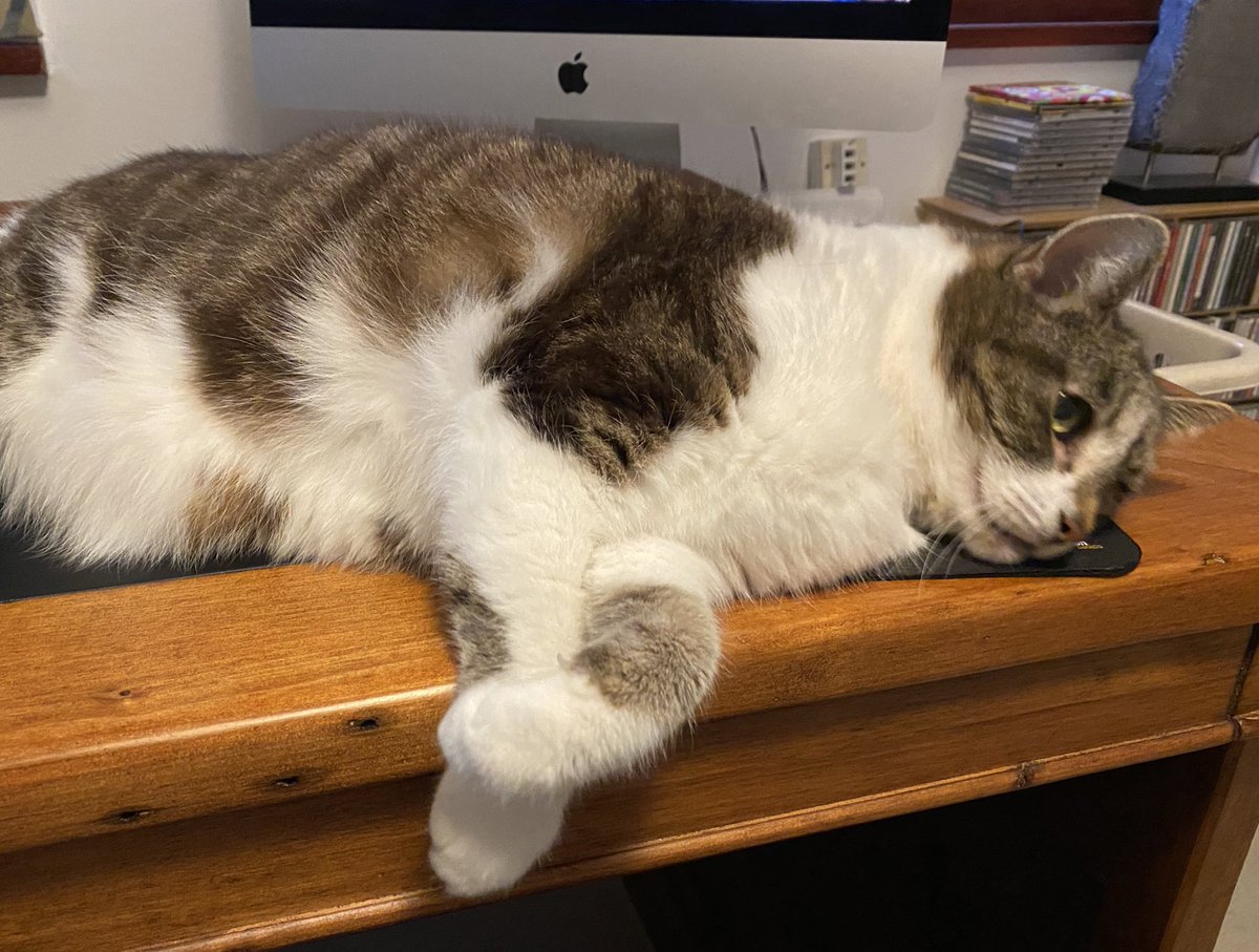 David KC tweet media