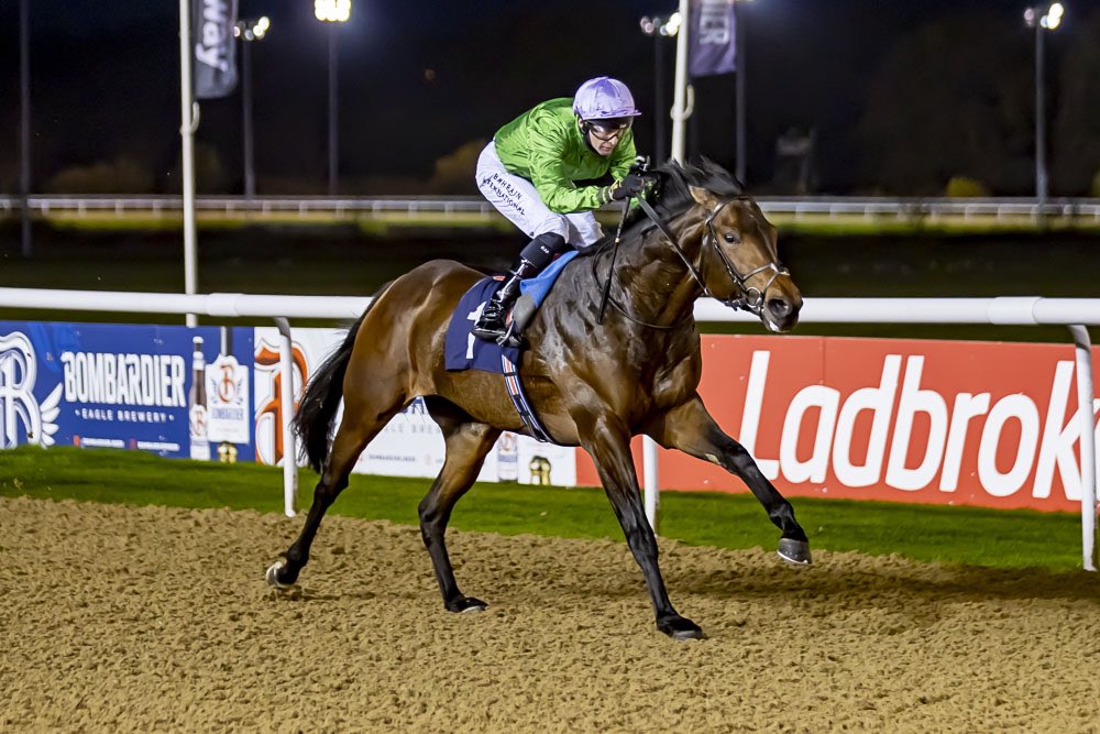 chasemorefarm's tweet photo. UNCLE BRYN (Sea The Stars x Wall Of Sound) remains unbeaten and takes his career record to two from two in style at @WolvesRaces. Trained by John Gosden and ridden by Robert Havlin.

#chasemorebred #rollon2021 https://t.co/neKOjcZ1Hz