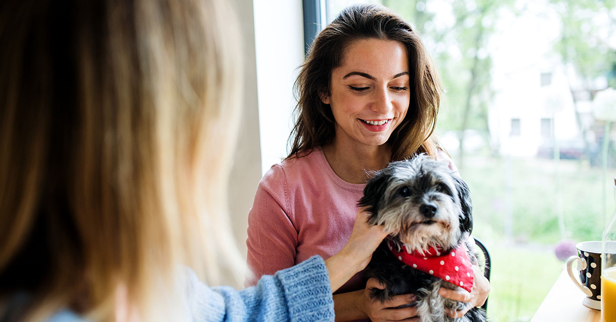 MMGreatLakes's tweet photo. Your dog likes having you home. Your bank statement would like you to get back to work. Call your supervisor. Call your dog walker. Call your financial professional. https://t.co/PHlLKQuKGq. https://t.co/2M9NjYE5Wa