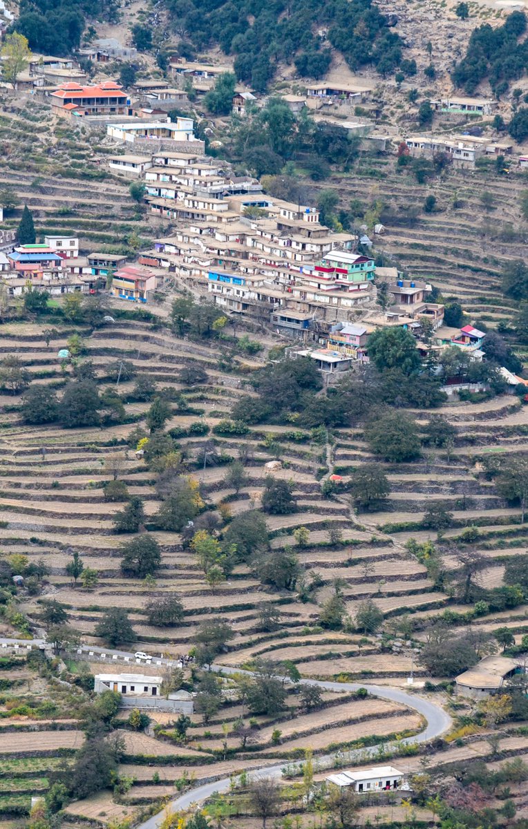 zubairtorwali's tweet photo. One of the ancient village of #Torwal in #Swat. It is known as Puran Gam meaning old village. It presents a Dradic architecture. #DadicSwat https://t.co/bjDjrgjLfb