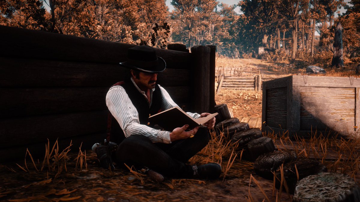never caught him reading at shady belle before. 
,
#RedDeadRedemption2 #DutchVanDerLinde