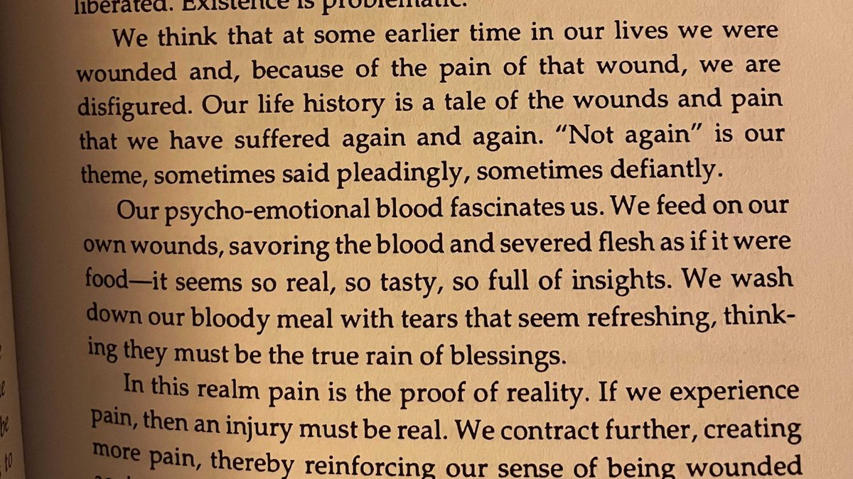 2) hell realm - this is the realm of anger, blame, and the victim mindset. something is wrong with us, we were wounded at some point and now have to fix ourselves. we continue to contract and be aggressive towards any pain. amazing line here "so full of insights"