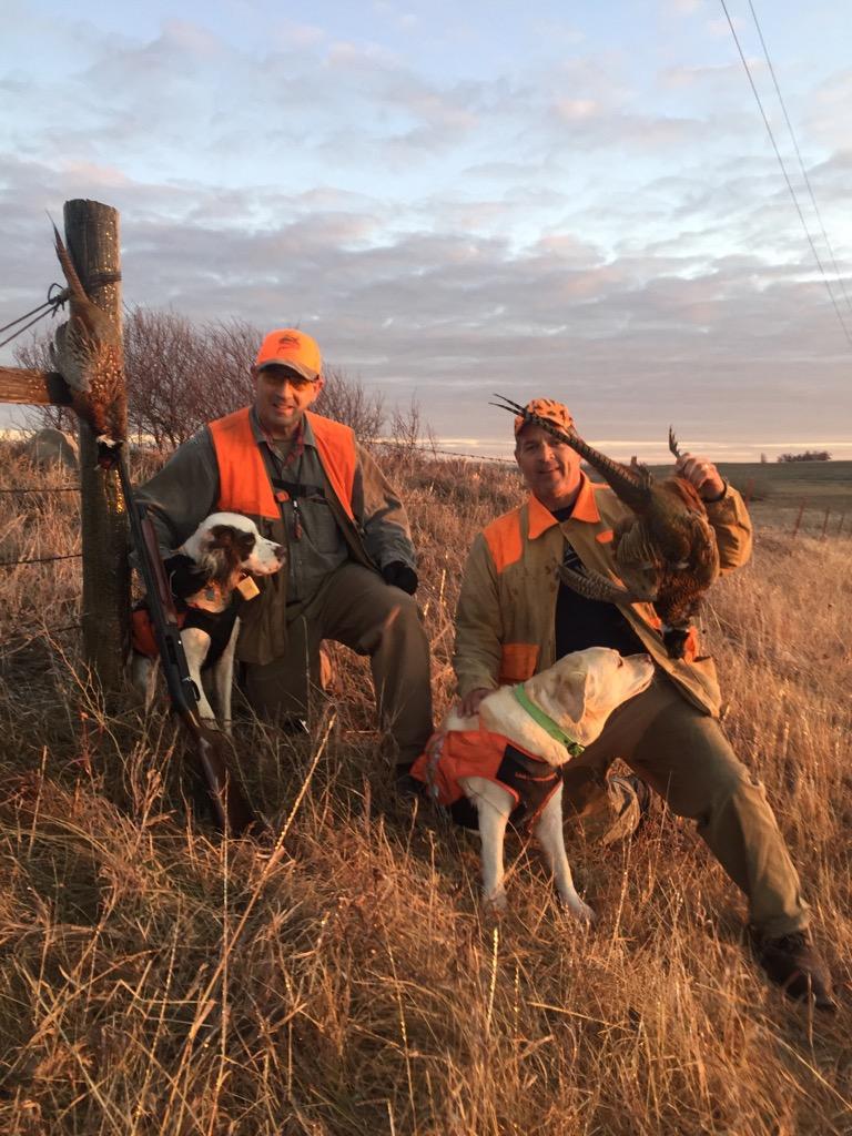 PBeaulieu01's tweet photo. @GooOutdoors @pheasants4ever Didn't disappoint us either https://t.co/WzSdcleFjk