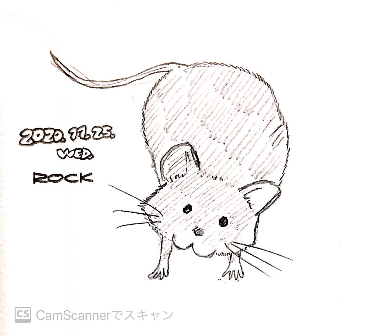 ハツカネズミ ハツカネズミ