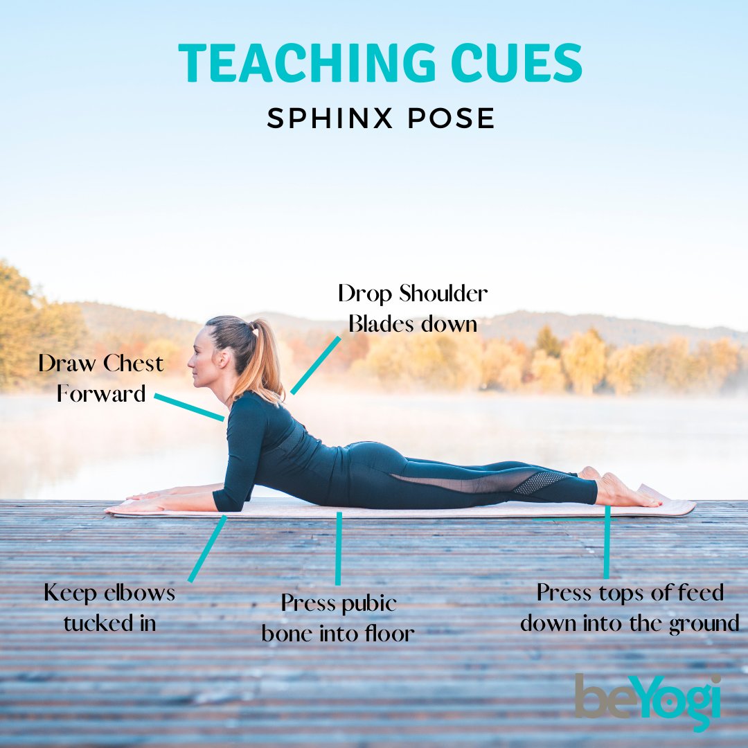 beyogiinsurance's tweet photo. Cues for your students to ensure Sphinx pose is done properly. Share this with your students!
.
#sphinxpose #chestopener #yogaposes #beyogi #yogagram #insurance #yogainspiration #meditation #lovewhatyoudo #yogalife #yogapractice #yogainstructor #yogaeverydamnday https://t.co/IGD2XOo82Z