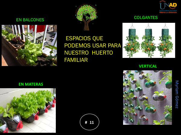 AccinSolidaria3's tweet photo. Aprovechemos los espacios en casa y cultivemos nuestro propios productos .#SERVICIOSOCIALUNADISTAENCASA https://t.co/6ni6I3Wys7