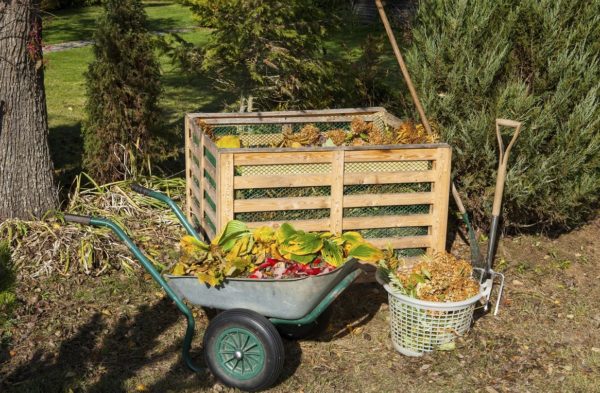 GoGreenPK's tweet photo. Do you know what goes in a home compost bin? Challenge your composting knowledge and learn new composting tips in this  @Earth911 Quiz.
#Sustainability #Composting #Quiz
https://t.co/tSI0lPPfUa https://t.co/yh7zKondqz https://t.co/hBxBiTM37y